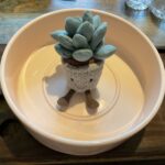 Checking out a new pot