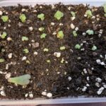 Ready for my close-up